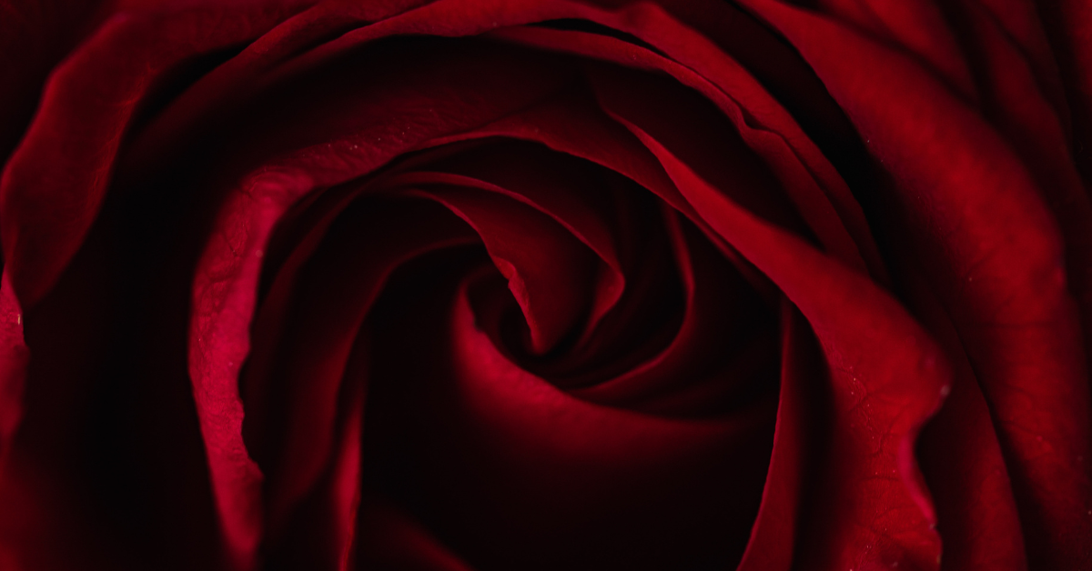CYREH · REDDA CYREH · REDDA